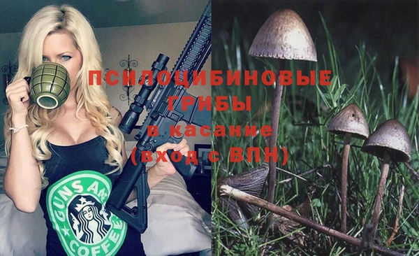 мескалин Арсеньев