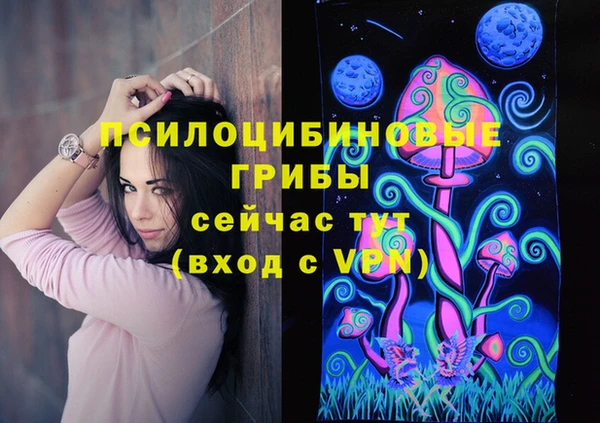 мескалин Арсеньев